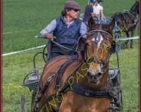 1POSIEUX 0580